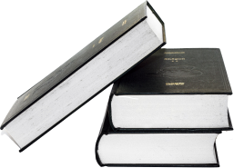 Advanced detection system using stealthWriter and Quilboot plagiarism tools (Primusm account) to identify AI-generated and plagiarized content, followed by expert manual refinement for a 100% original document